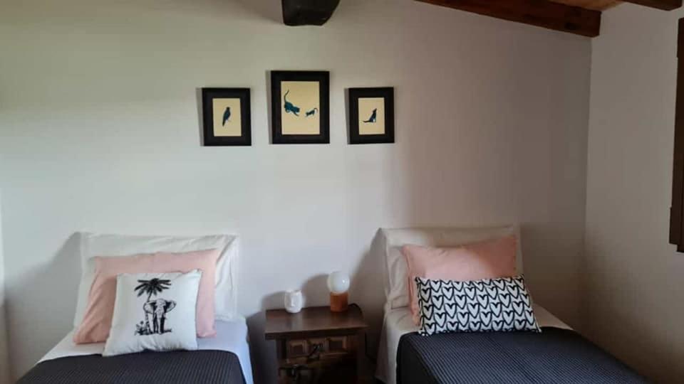 Casa da Ti Adélia Villa Janeiro de Cima Bagian luar foto